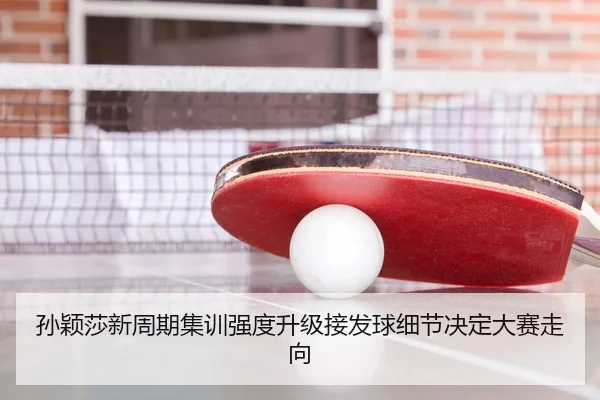 孙颖莎新周期集训强度升级接发球细节决定大赛走向