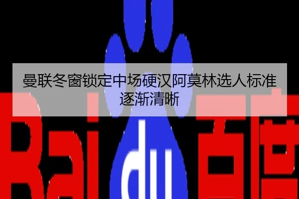 曼联冬窗锁定中场硬汉阿莫林选人标准逐渐清晰
